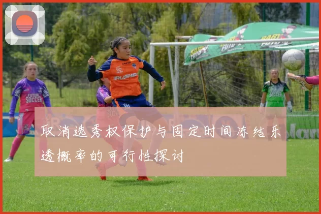 取消选秀权保护与固定时间冻结乐透概率的可行性探讨