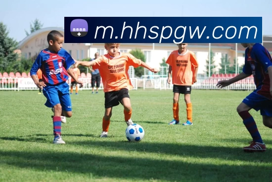 火狐体育官网平台生态图